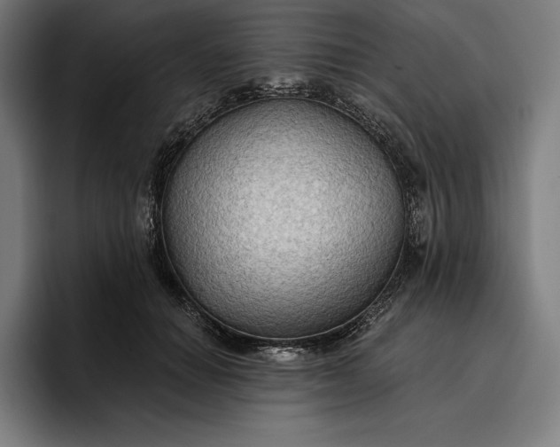 X0000096690654200802191429