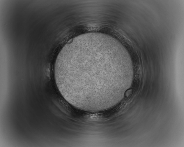 X0000096690655200802191429