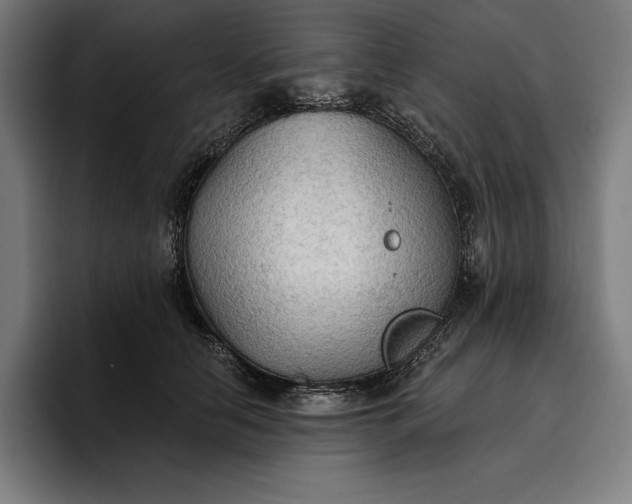 X0000096690658200802191429