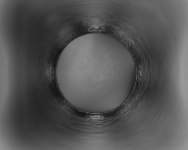 X0000096690659200802191429