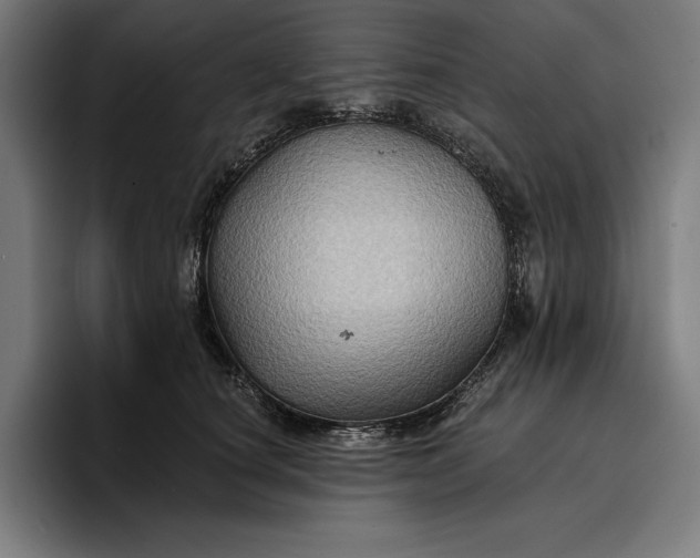 X0000096690660200802191429