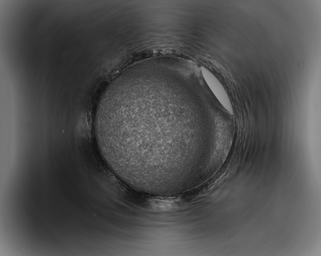 X0000096690661200802191429