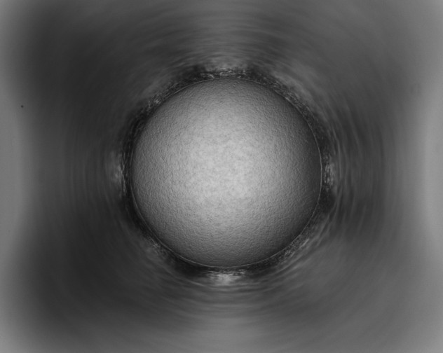 X0000096690662200802191429