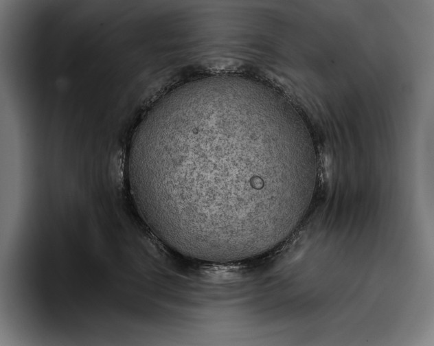 X0000096690664200802191429