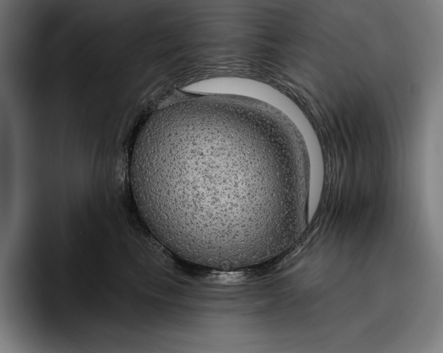 X0000096690665200802191429