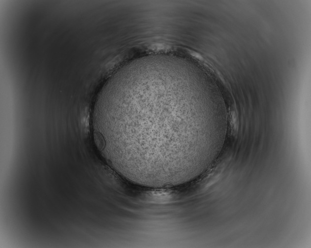 X0000096690668200802191429