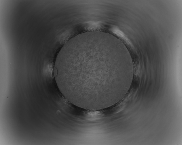 X0000096690669200802191429