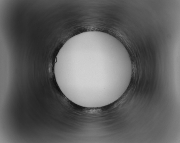 X0000096690670200802191429