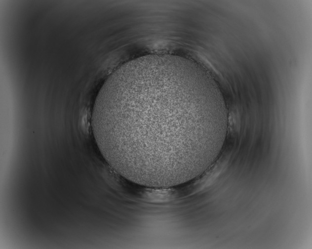 X0000096690671200802191429