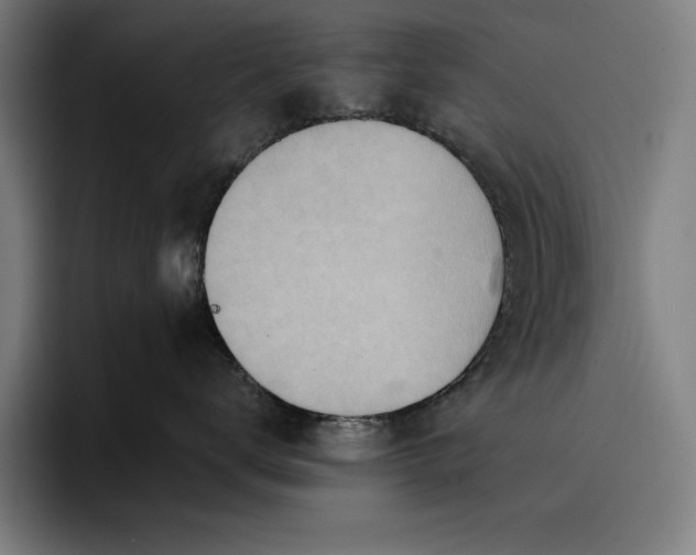 X0000096690672200802191429