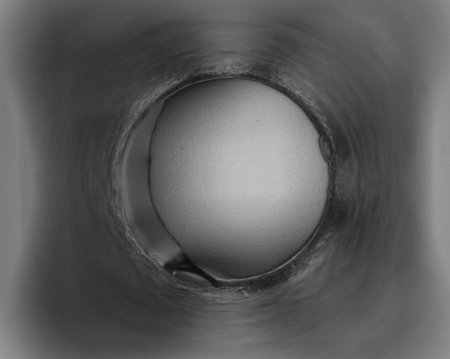 X0000096690673200802191429