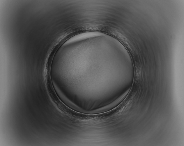 X0000096690674200802191429