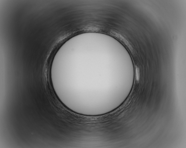 X0000096690675200802191429