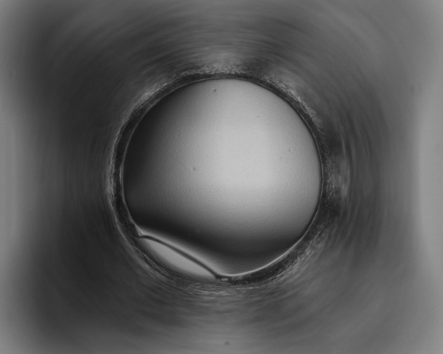 X0000096690677200802191429