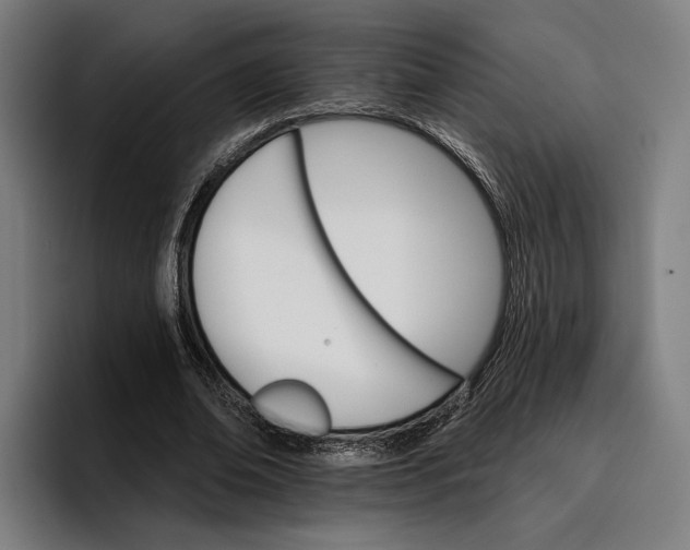 X0000096690678200802191429