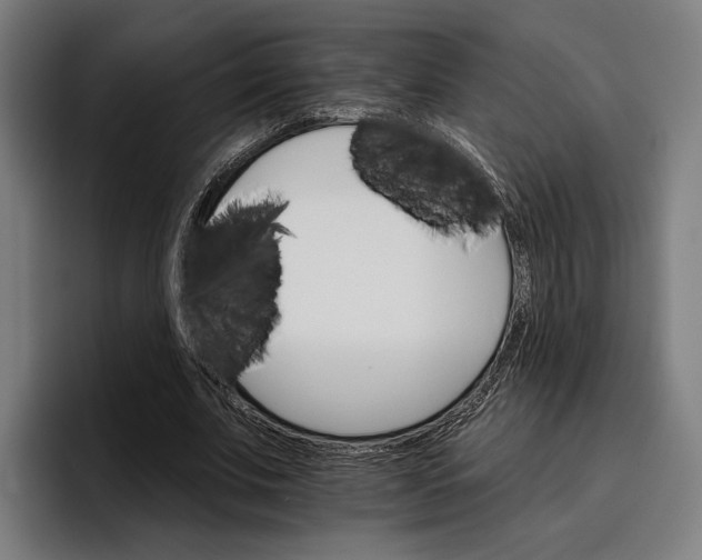 X0000096690679200802191428