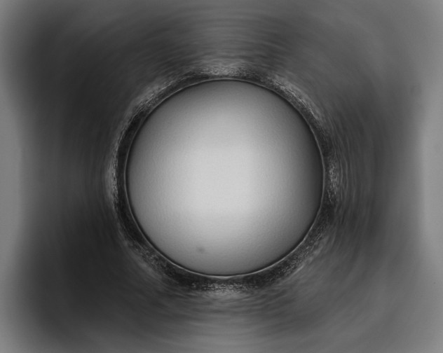 X0000096690682200802191428