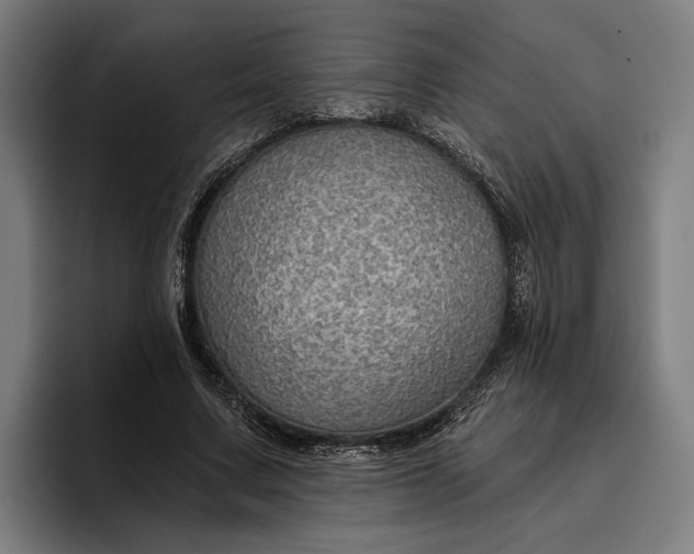 X0000096690683200802191428