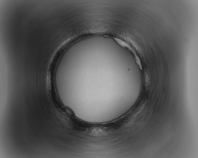 X0000096690684200802191428