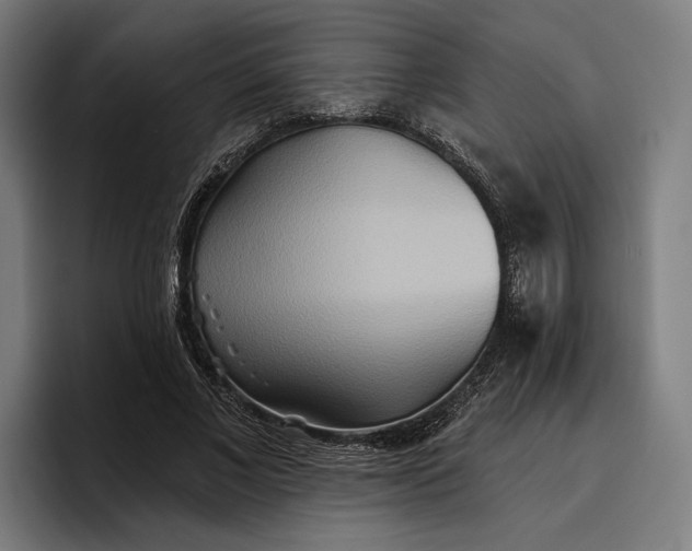 X0000096690685200802191428