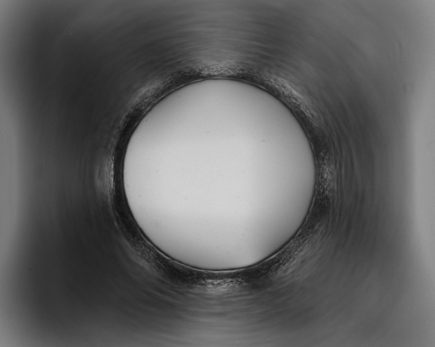 X0000096690686200802191428