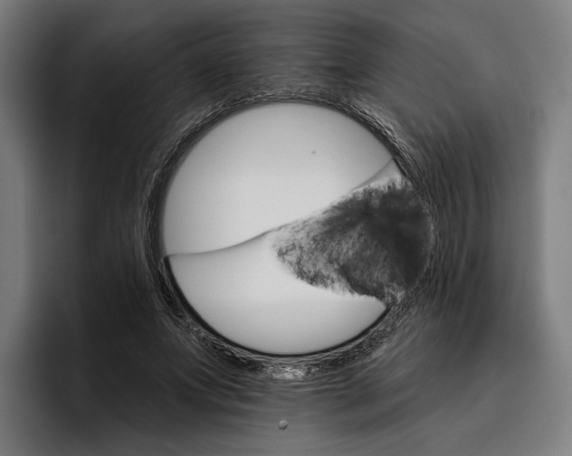 X0000096690687200802191428