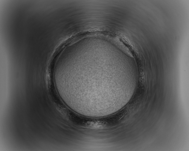 X0000096690688200802191428