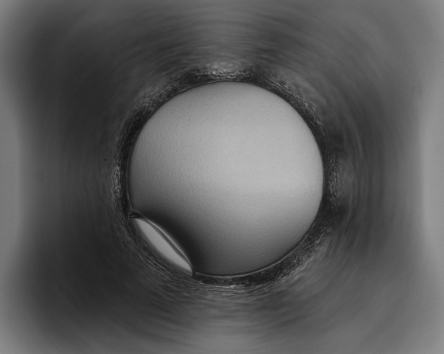 X0000096690689200802191428