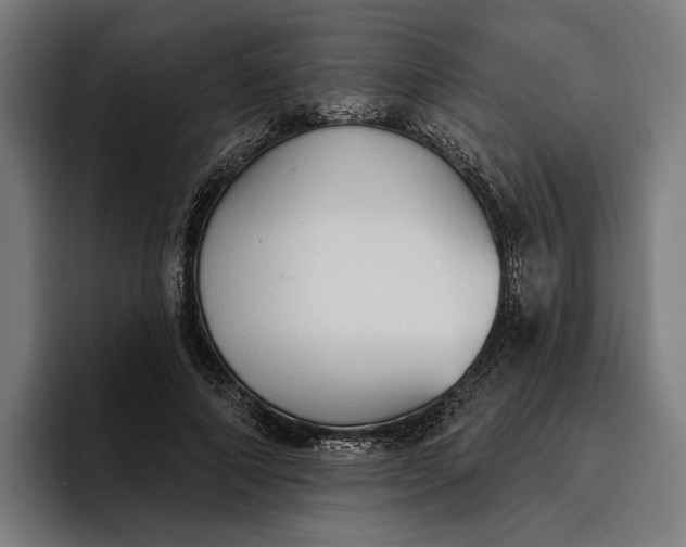 X0000096690690200802191428