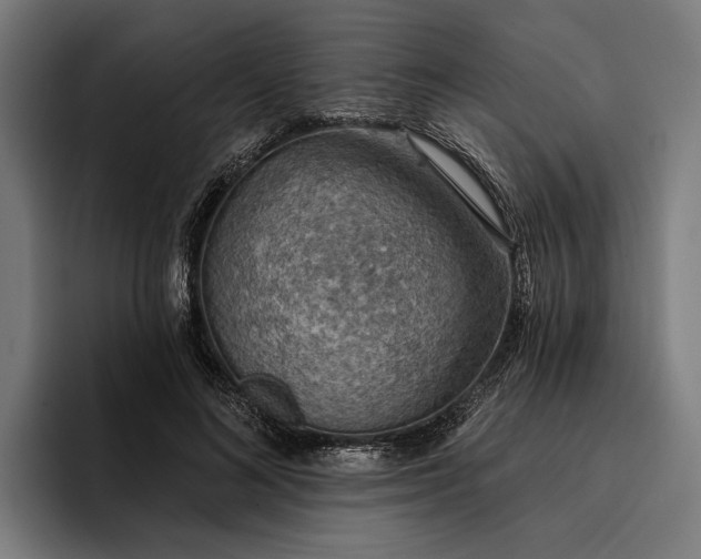 X0000096690692200802191428