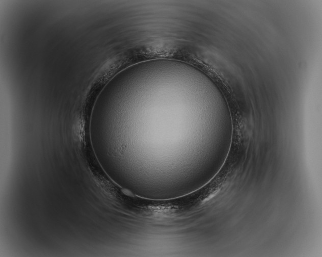 X0000096690693200802191428