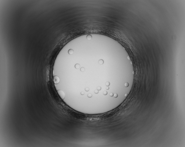 X0000096690694200802191428