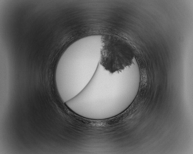 X0000096690695200802191428