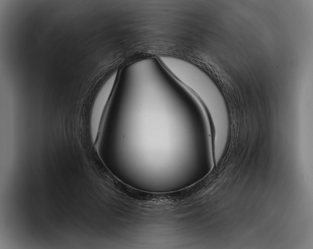 X0000096690696200802191428