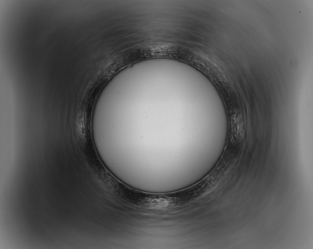 X0000096690698200802191428