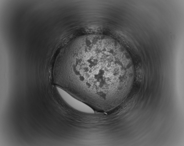 X0000096690699200802191428