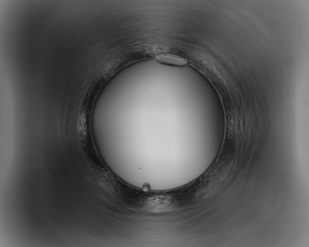 X0000096690700200802191428