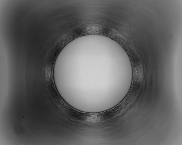 X0000096690705200802191428