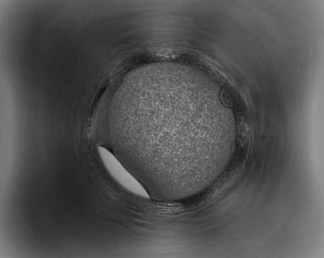 X0000096690707200802191428