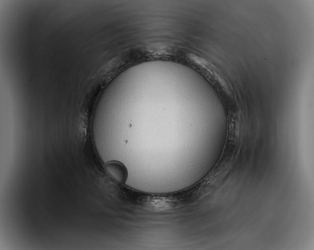 X0000096690710200802191428