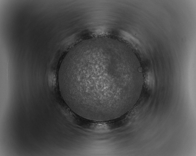 X0000096690715200802191428