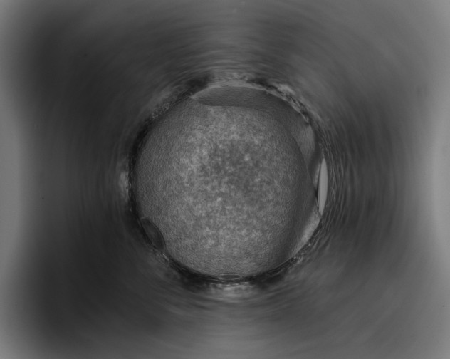 X0000096690716200802191428