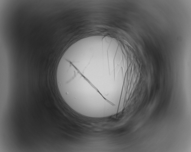 X0000096690717200802191428