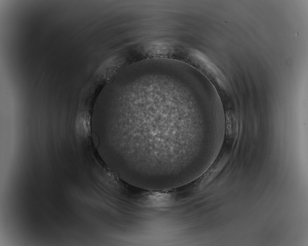 X0000096690718200802191428