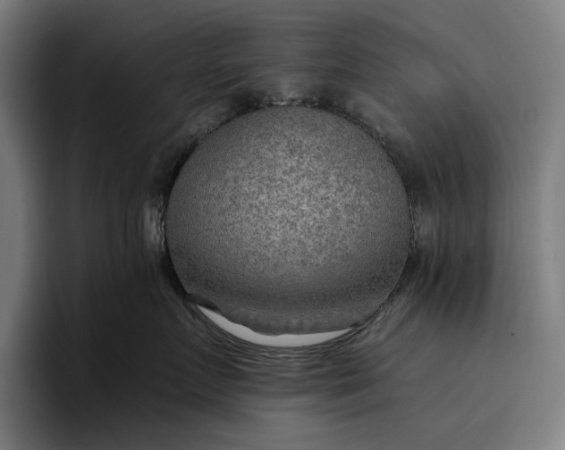 X0000096690719200802191428