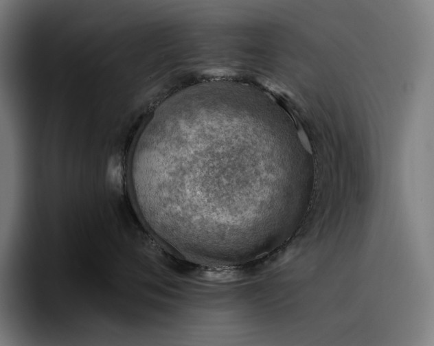 X0000096690720200802191428