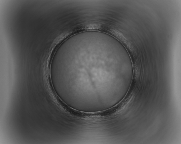 X0000096690721200802191427