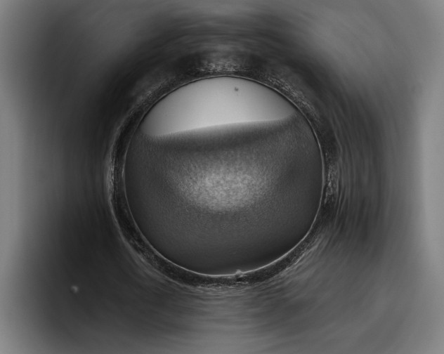 X0000096690722200802191427