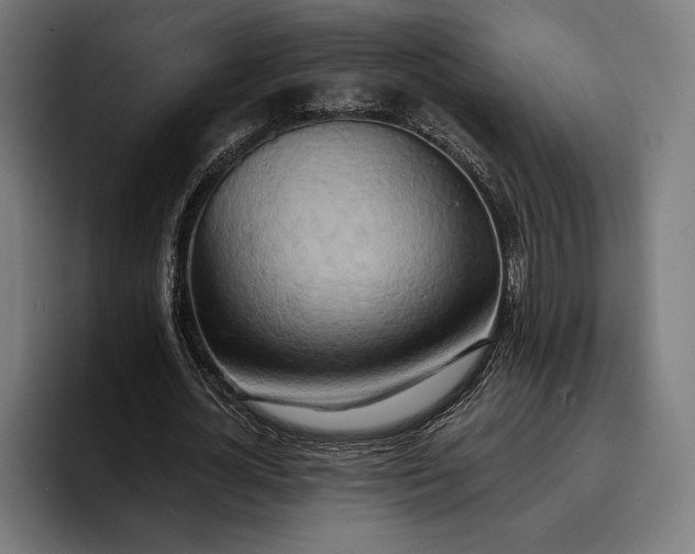 X0000096690724200802191427