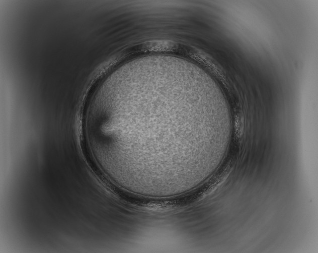 X0000096690725200802191427